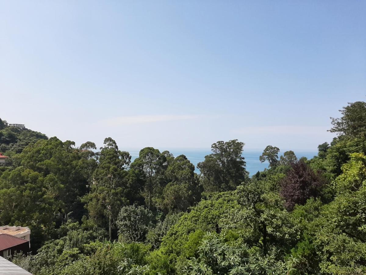 Giorgi Kvariati Hotel Buitenkant foto